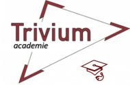 Favicon Trivium Academie.png